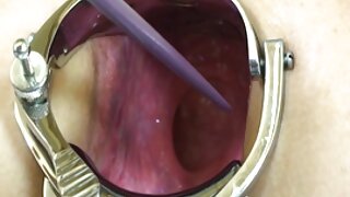 جرابوں میں شاندار br ...