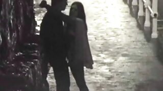مچھلی کے جال میں بکس ...