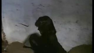 کریم اور ڈیبی وائٹ ش ...