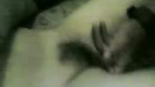 چھوٹی چھاتی اور پگٹی ...