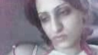سیاہ سر کے چوزے اپنے ...